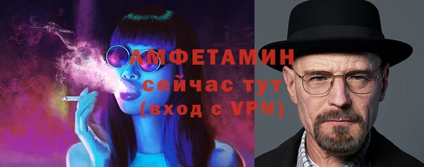 твердый Богородицк