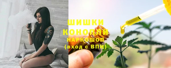 твердый Богородицк