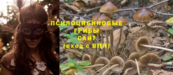 твердый Богородицк