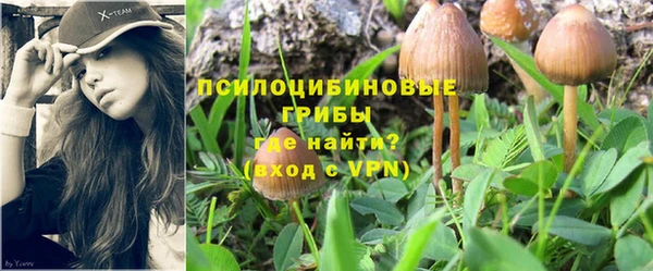прущая мука Богородск