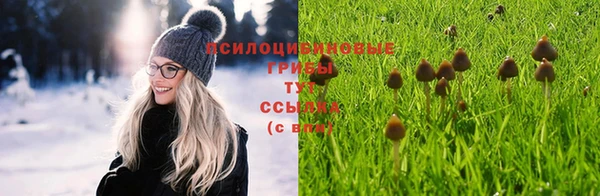 прущая мука Богородск
